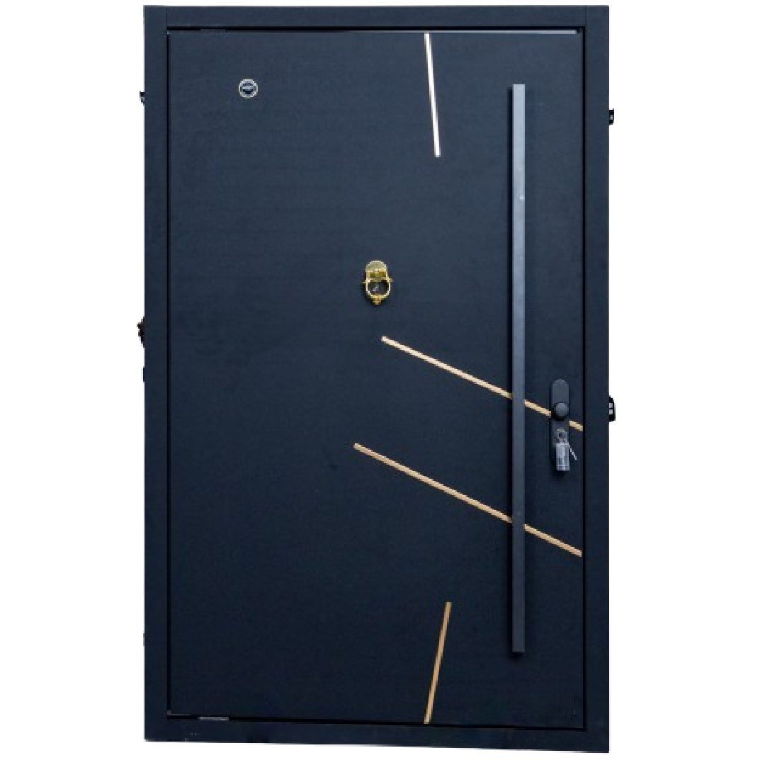 Black Panther 1.5 mm steel security door